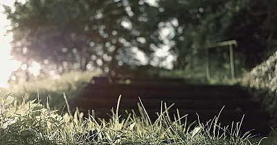 Filmový maratón